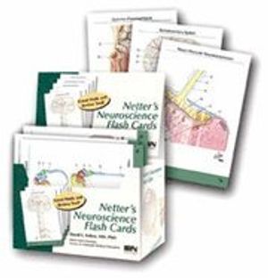 Netter's Neuroscience Flash Cards