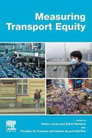 Measuring Transport Equity