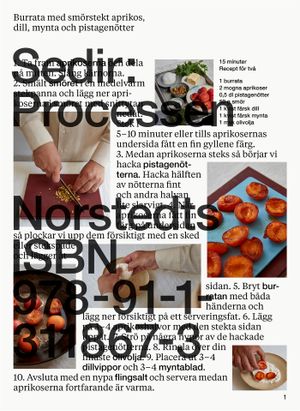 Sedir: Processen | 1:a upplagan