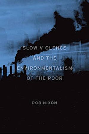 Slow Violence and the Environmentalism of the Poor