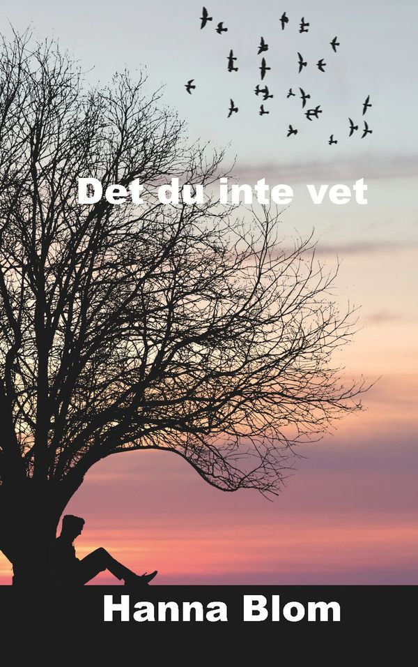 Det du inte vet | 0:e upplagan