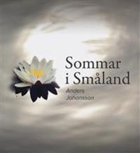 Sommar i Småland | 0:e upplagan