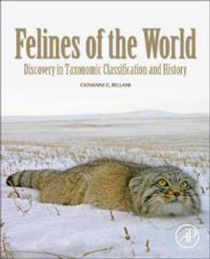 Felines of the World