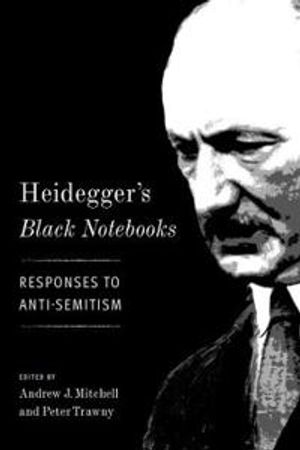 Heidegger's Black Notebooks