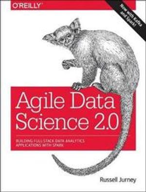 Agile Data Science | 1:a upplagan