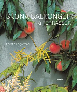 Sköna balkonger & terrasser | 1:a upplagan