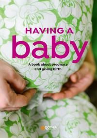 Vänta barn - engelsk utgåva : En bok om graviditet, förlossning och första tiden med barnet