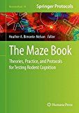 The Maze Book