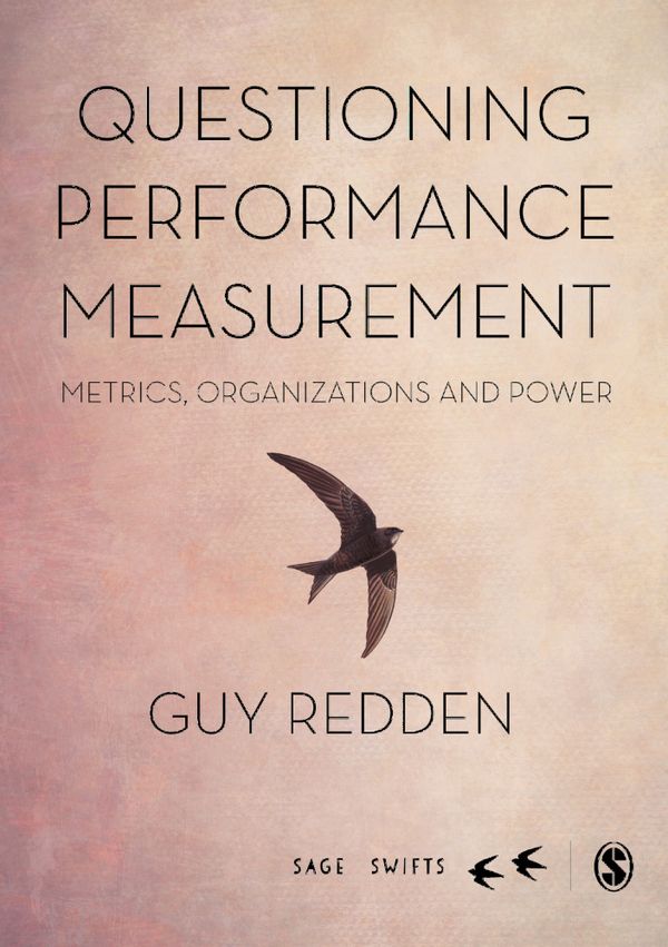 Questioning Performance Measurement: Metrics, Organizations and Power | 1:a upplagan