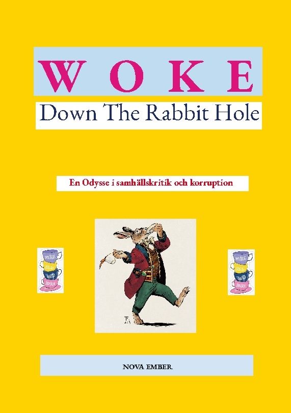 Woke : down the rabbit hole : en odysse i samhällskritik och korruption | 1:a upplagan