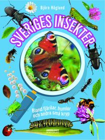 Sveriges insekter: Bland fjärilar, humlor och andra små kryp