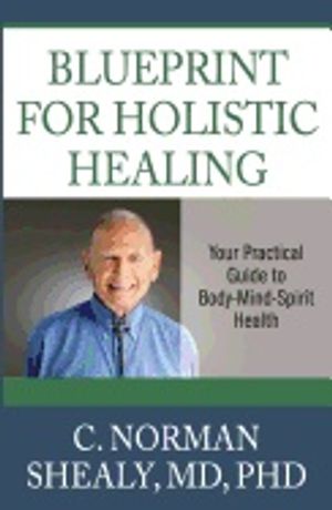 Blueprint for holsitic healing - your practical guide to body-mind-spirit h