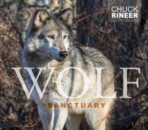 Wolf Sanctuary : The Wolves of Speedwell Forge