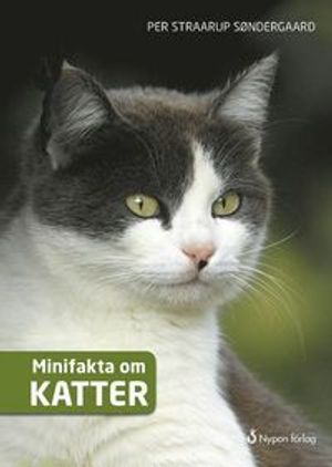 Minifakta om katter