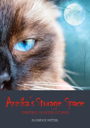 Annika's Storage Space : Thirteen Sinister Stories | 1:a upplagan