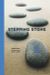 Stepping Stone 2 Elevbok inkl CD (2005)