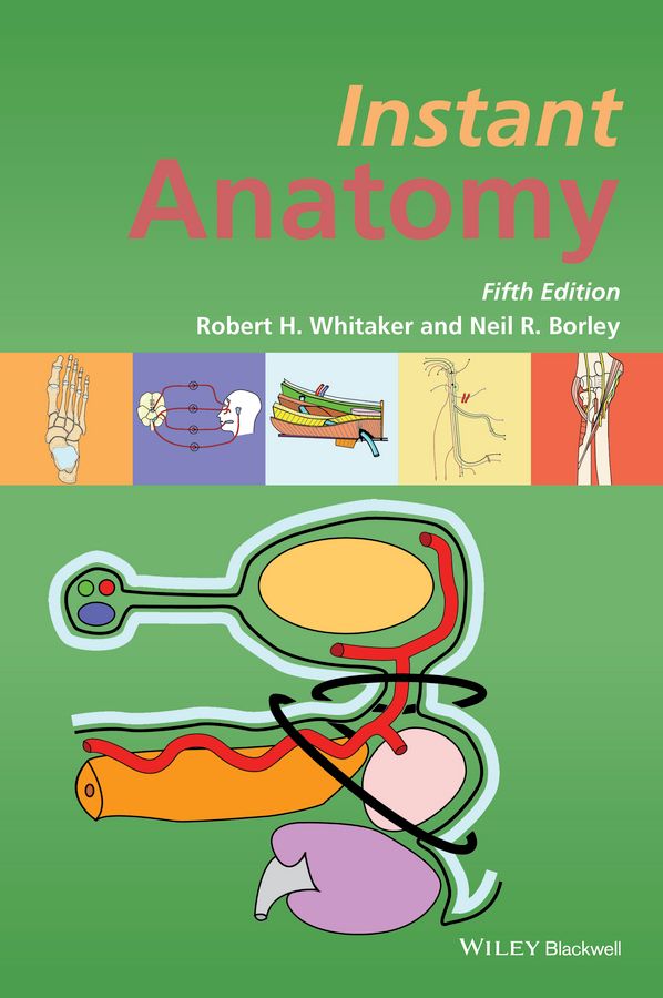 Instant Anatomy | 5:e upplagan