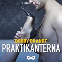 Praktikanterna