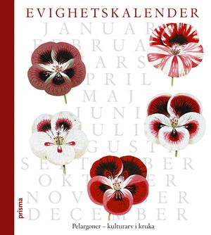 Evighetskalender : Pelargoner - kulturarv i kruka | 1:a upplagan