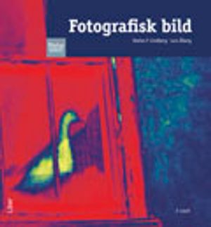 Fotografisk bild | 3:e upplagan