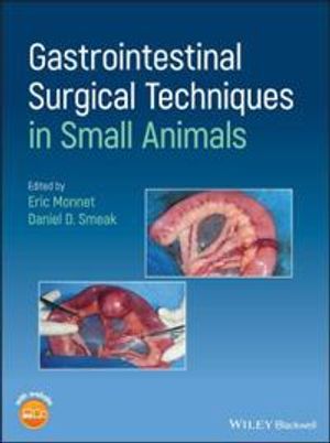 Gastrointestinal Surgical Techniques in Small Animals