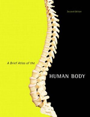 A Brief Atlas of the Human Body |  2:e upplagan