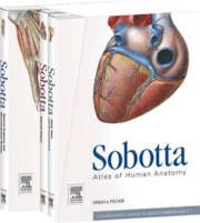 Sobotta Atlas of Human Anatomy + E-sobotta Access | 15:e upplagan