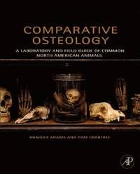 Comparative Osteology - Pam  J. Crabtree