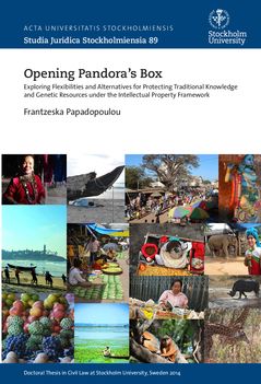 Opening Pandora's box : Exploring flexibilities and alternatives for protecting traditional knowledge and genetic resources unde | 0:e upplagan