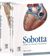 Sobotta Atlas of Human Anatomy + E-sobotta Access