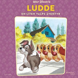 Ludde - en liten valps äventyr