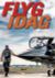 Flyg idag : flygets årsbok 2017