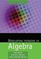 Developing thinking in algebra | 0:e upplagan