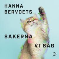 Sakerna vi såg - Hanna Bervoets