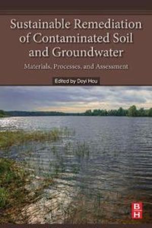 Sustainable Remediation of Contaminated Soil and Groundwater