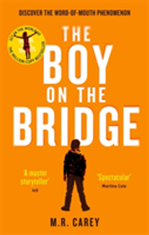 The Boy on the Bridge