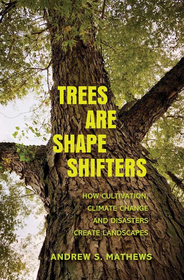 Trees Are Shape Shifters | 1:a upplagan
