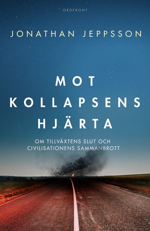 Mot kollapsens hjärta: Om tillväxtens slut och civilisationens sammanbrott