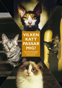 Vilken katt passar mig? : Ingen katt är den andra lik