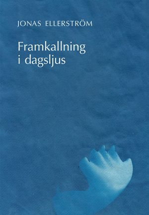 Framkallning i dagsljus