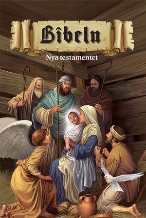 Bibeln Nya Testamentet