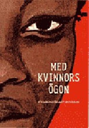 Med kvinnors ögon