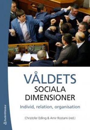 Våldets sociala dimensioner - Individ, relation, organisation | 1:a upplagan