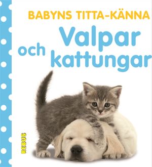 Babyns titta-känna  Valpar och kattungar