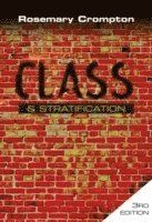 Class and Stratification, 3rd Edition
