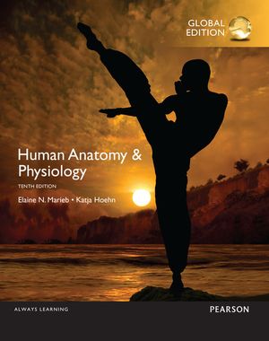 Human Anatomy & Physiology, Global Edition | 10:e upplagan