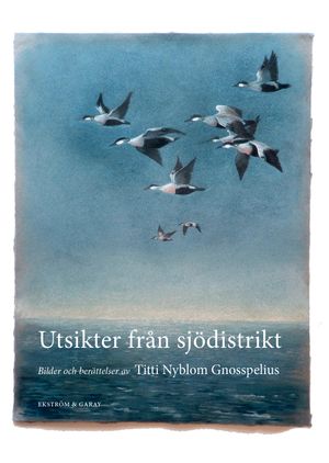 Utsikter från sjödistrikt | 1:a upplagan