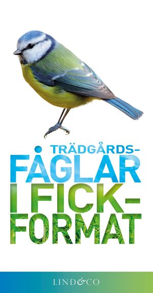 Trädgårdsfåglar i fickformat | 1:a upplagan