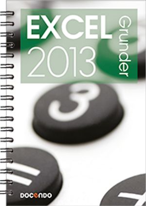 Excel 2013 Grunder