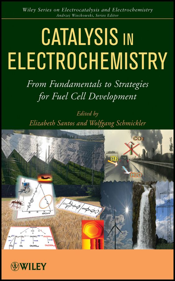Catalysis in Electrochemistry: From Fundamental Aspects to Strategies for F | 1:a upplagan